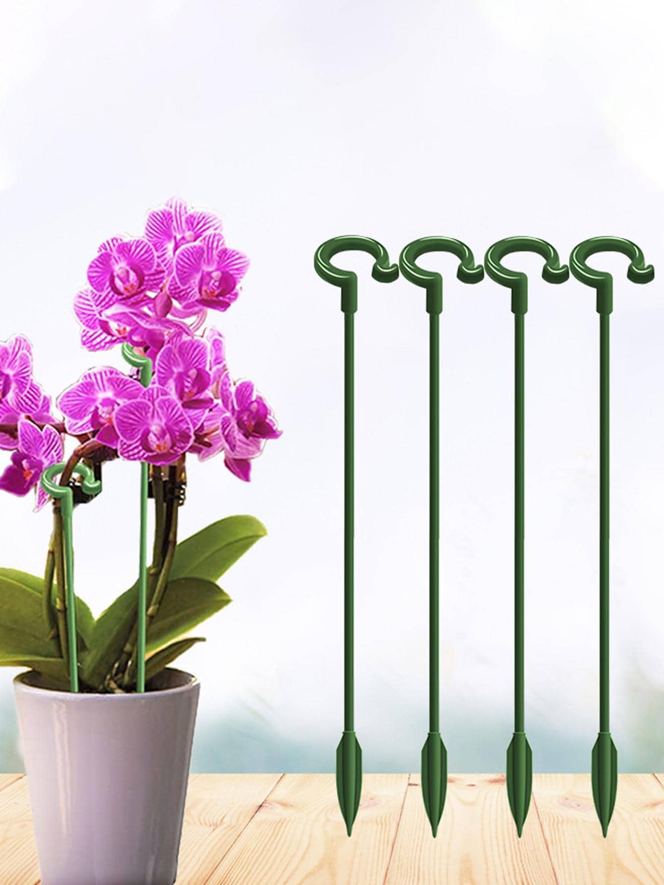 5 piezas Estaca de apoyo a planta liso - Verde - Ver 1