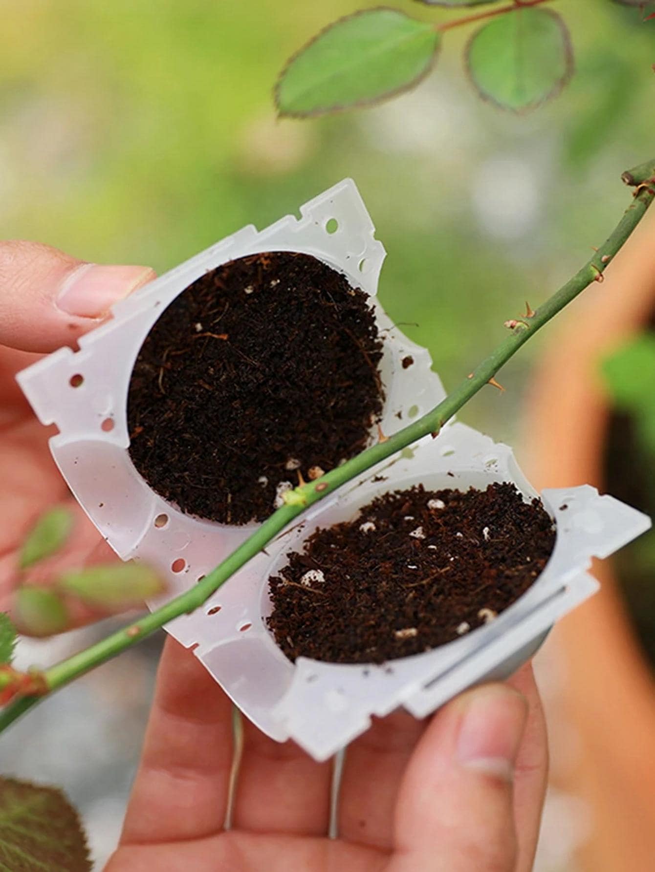 1pc Plastic Rooting Ball Grafting Tool - White - View 1