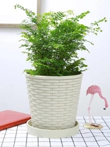 1pc/3pcs Thickened Bamboo Woven Round Planter Pot With Tray For Indoor Plants, Succulents And Philodendrons Gifts Birthday Graduation