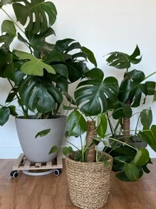 1pc Leaf Design Plant Support Stake - Brown - View 6