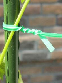 1卷素色園藝膠帶用於室外、花園簡易塑料植物支撐膠帶