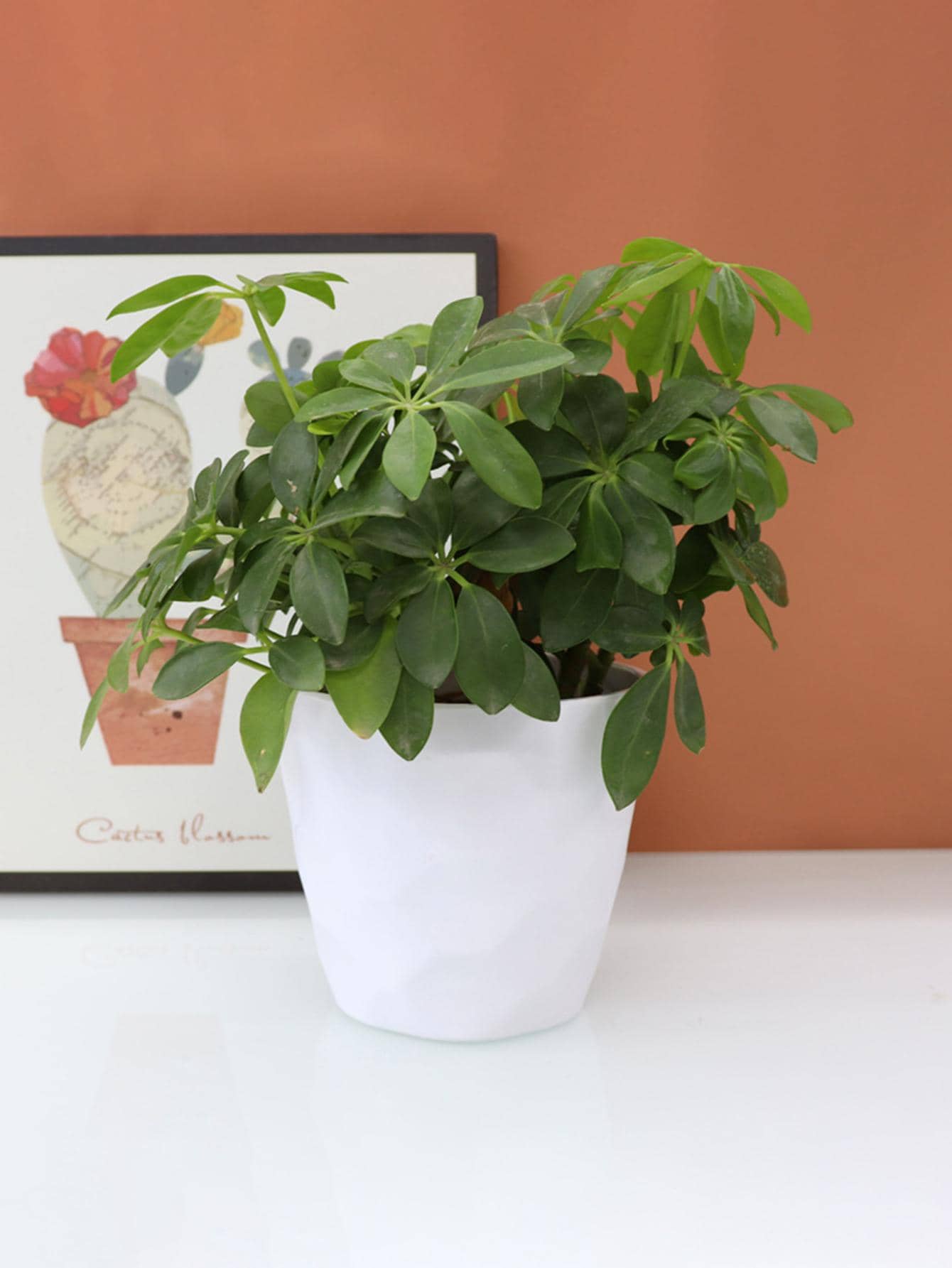 1pc Plastic Plant Container, Simple Plain Color Flower Pot For Home - White - View 2