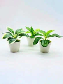 1入組塑料人造盆栽用於餐桌裝飾假盆栽裝飾品 - 綠色 - 查看 4