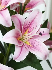 1 件/3 件/6 件，28.4 英寸/72 厘米，人造花，人造百合花真实触感假花，假植物，浪漫简约粉红百合，人造单茎多头百合花，适用于春季家居装饰、办公室装饰、节日礼物、婚礼、派对、家庭聚会、花园装饰、节日装饰、母亲节、情人节、装饰、周年纪念装饰、春季装饰、情人节、复活节礼物 - 彩色 - 查看 6