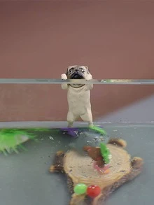 3pcs Dog Design Decoration Craft, Small Fish Tank Hanging Ornament, For Home - Multicolor - View 5