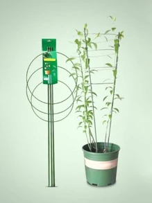 1pc Iron Plant Climbing Frame, Minimalist Plain Plant Climbing Frame For Garden - Green - View 3