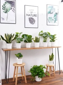 1 pieza Maceta liso color flor simple de plástico para casa adorno con jardín - Blanco - Ver 1