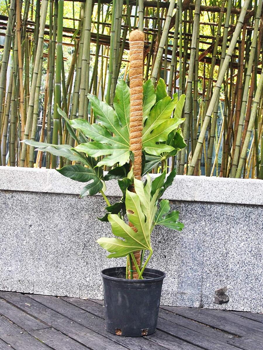 1 pieza Estaca de apoyo a planta fibra - Marrón - Ver 1