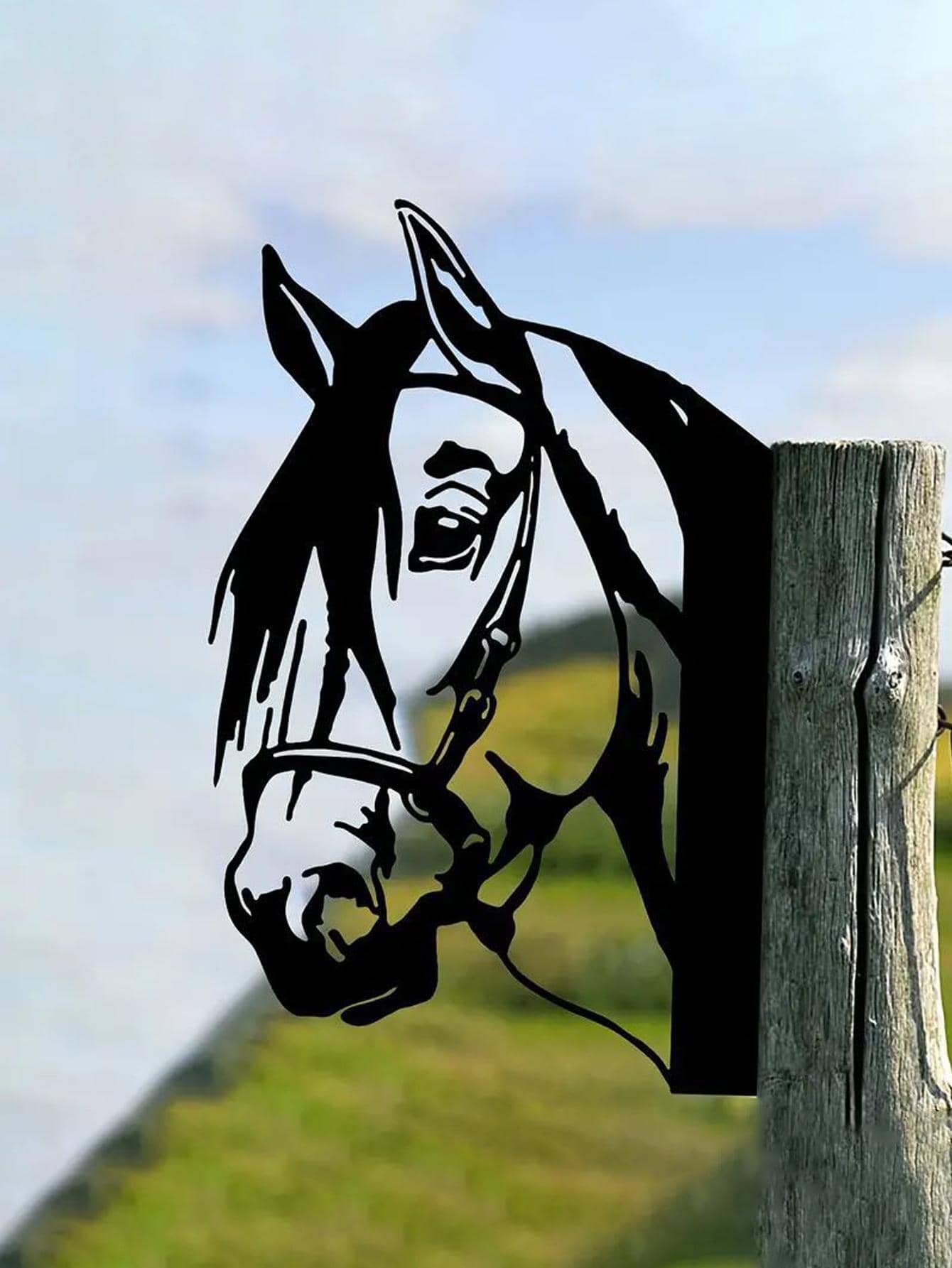 1入組卡通馬形花園裝飾物 - 黑色 - 查看 1