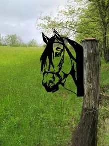 1入組卡通馬形花園裝飾物 - 黑色 - 查看 4