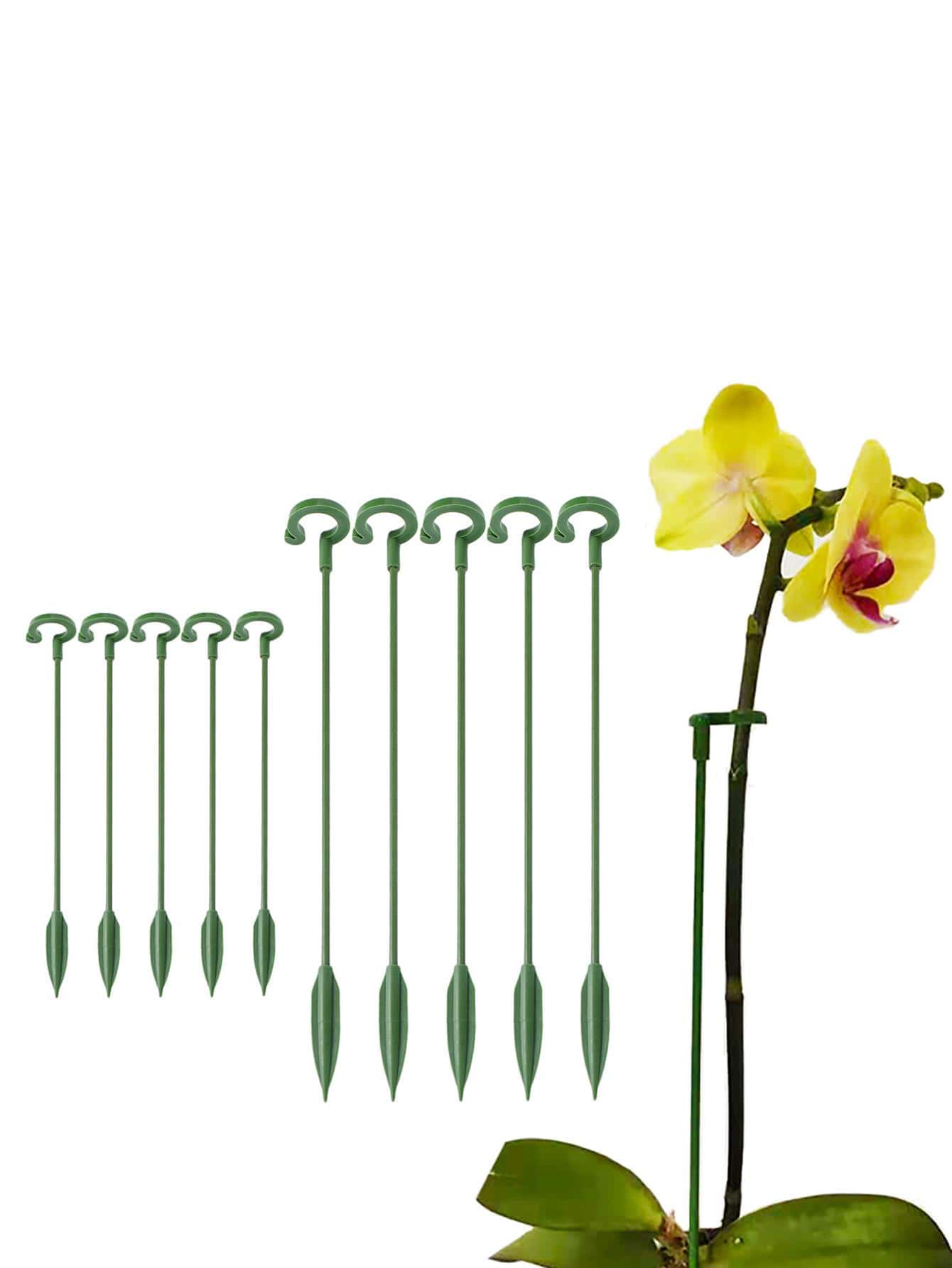 10 piezas Estaca de apoyo a planta - Verde - Ver 1