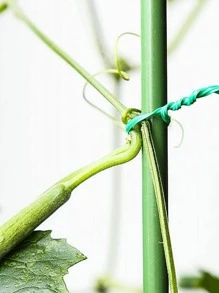 1pc Plastic Plant Fixing Tie - White - View 4