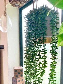 1pc Plastic Artificial Leaf Vine, Cottagecore Simulation Plant Green Vine For Outdoor, Home Decoration - Green - View 4