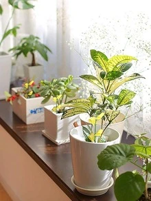 4pcs/set PP Armyworm Plate, Minimalist Yellow Plant Support For Garden - Yellow - View 3