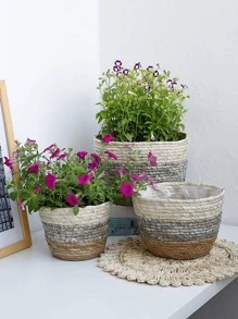 1 hộp đựng cây bằng rơm, lọ hoa hai tông màu hiện đại cho gia đình - Nhiều màu - Xem 4