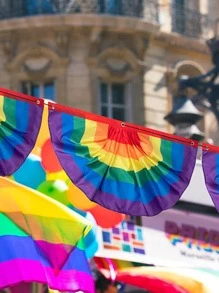 1PC Cầu Vồng Hoa Văn Sọc Treo Tường, Polyester Treo Cờ Cho Ngày Lễ - Nhiều màu - Xem 2