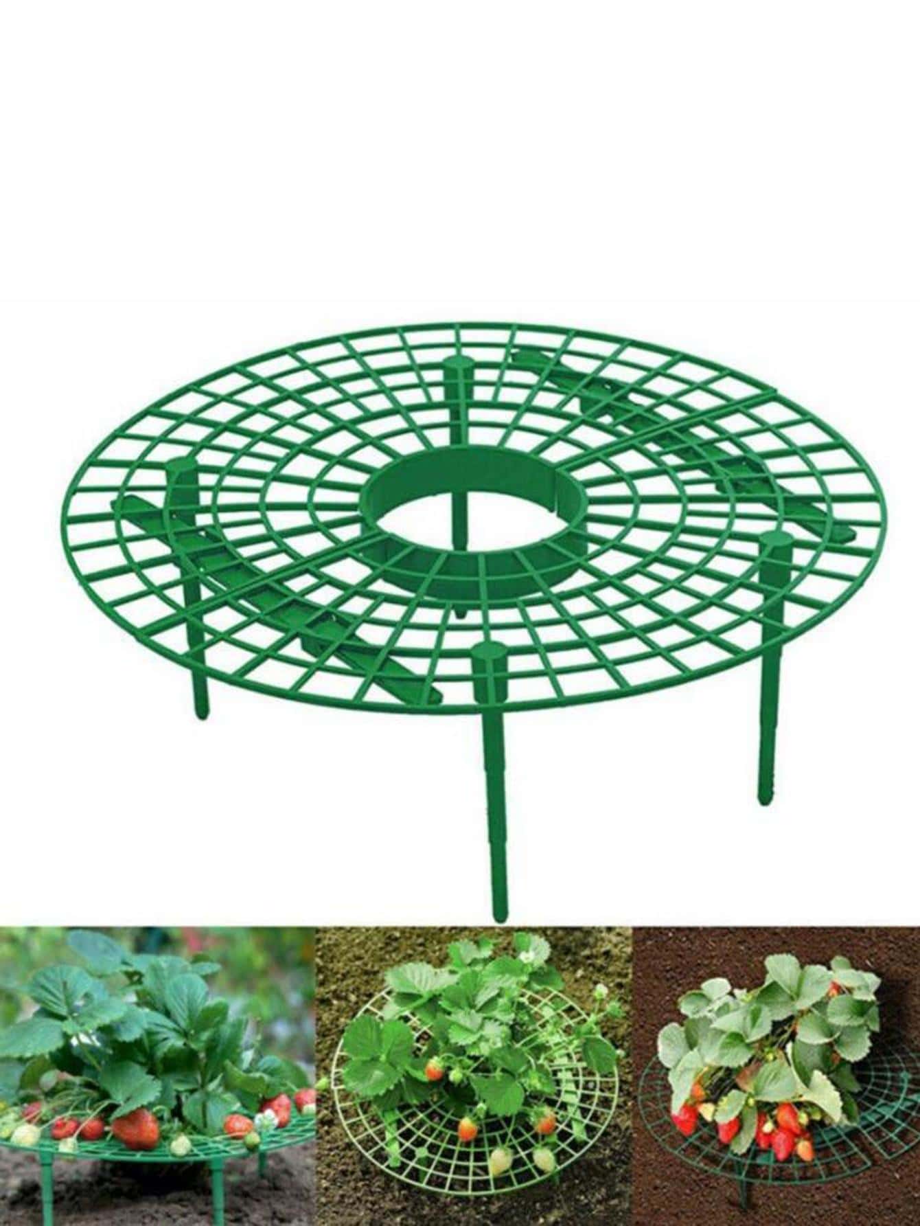 1 pieza de plástico apoyo a la planta minimalista unicolor fresa soporte para exterior