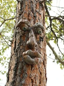 QYeah 1 Cái Mặt Ngộ Nghĩnh Trang Trí Cọc Sân Vườn, Nhựa Trang Trí Nhà Cửa Cho Trang Trí Nhà - Nhiều màu - Xem 1