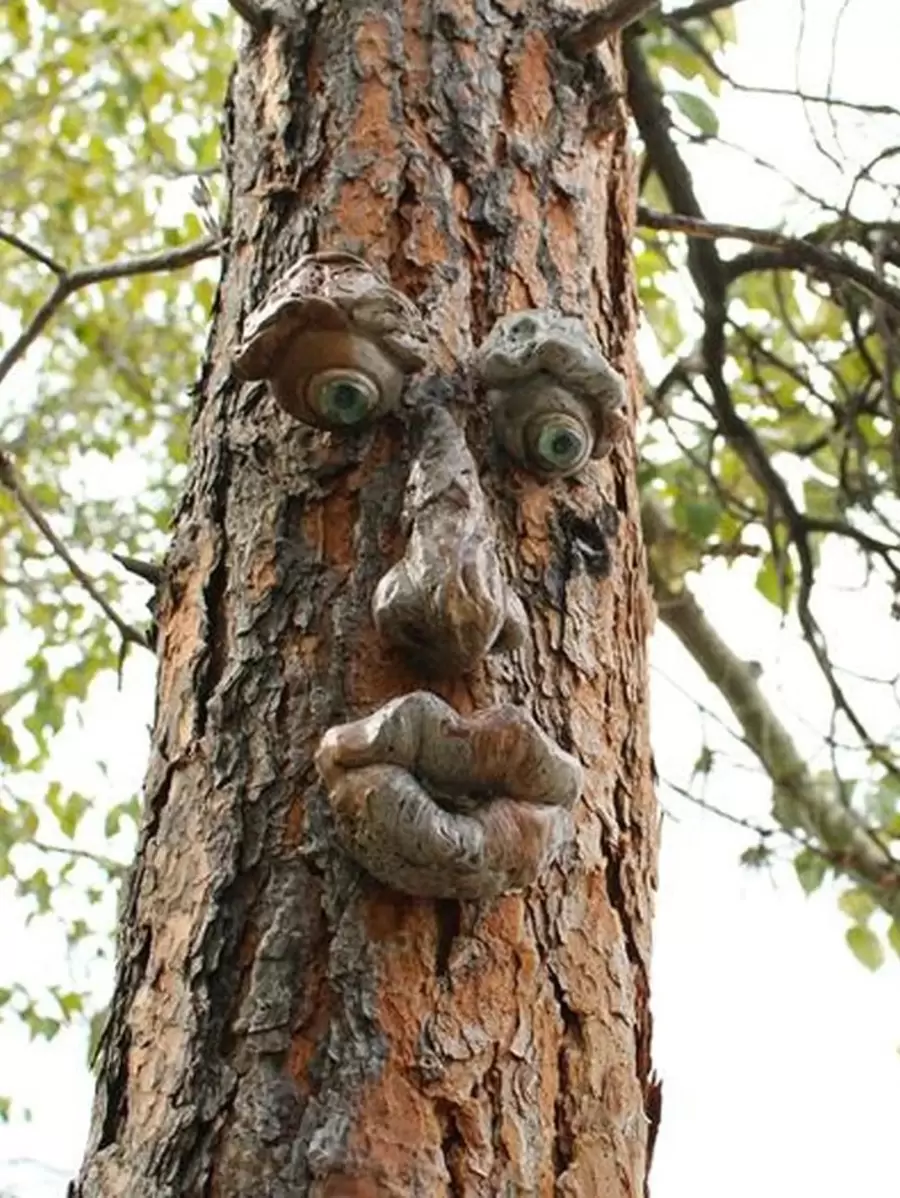 QYeah 1 Cái Mặt Ngộ Nghĩnh Trang Trí Cọc Sân Vườn, Nhựa Trang Trí Nhà Cửa Cho Trang Trí Nhà - Nhiều màu - Xem 1