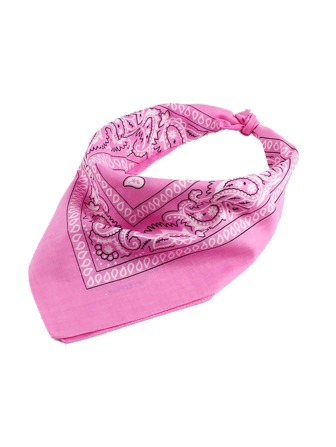 1pc Women Paisley Pattern Fashion Bandana For Daily Decoration