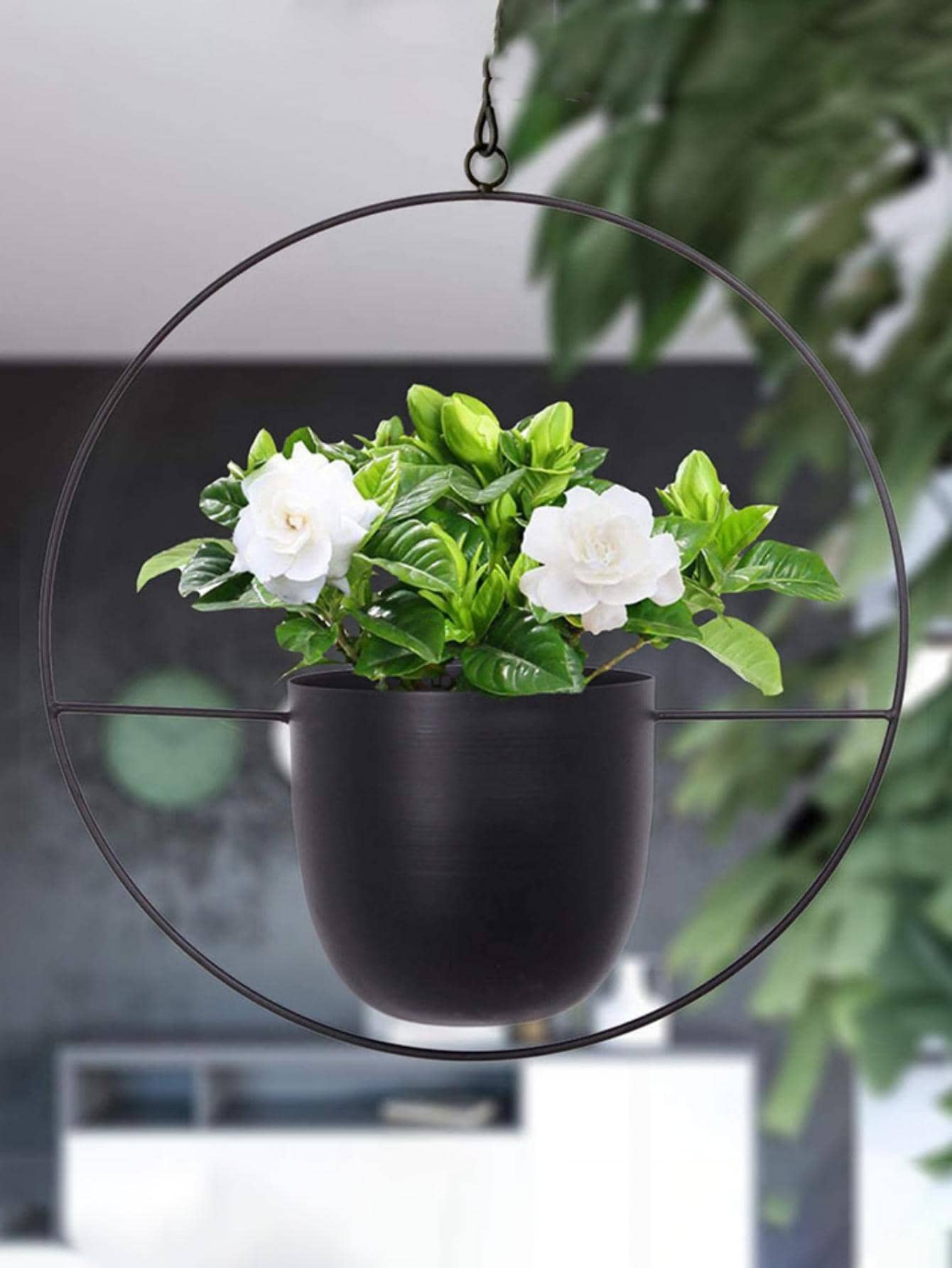 1 pieza Cesta de macetero colgante hierro planta estilo europeo negro redondo para interior - Negro - Ver 1