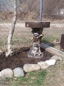 1 pieza Plato decorativo con diseño de mapache, el mejor regalo para cumpleaños, accesorios de cocina, decoración de cocina, bandeja de mesa, bandejas, bandeja de frutas, decoración de bandejas - Marrón - Ver 4