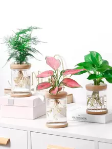 1pc Flower Detail Clear Flower Vase - Multicolor - View 1