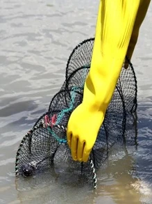 Foldable Fishing Lobster Trap Crab Net
