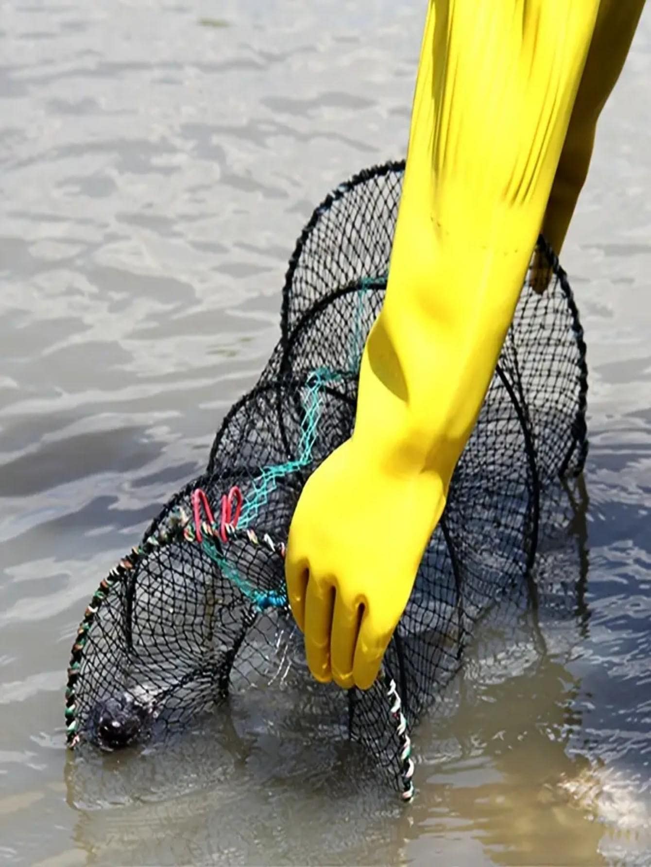 Foldable Fishing Lobster Trap Crab Net