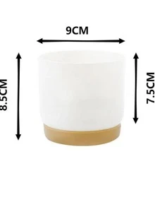 1入組塑膠植物容器 - 白色 - 查看 2