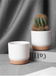 1入組塑膠植物容器 - 白色 - 查看 1