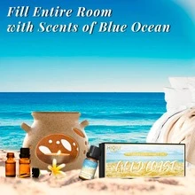 Premium 6 Fragrance Oil Set Gold Coast Diffuser Aromatherapy Lotion Candle Soap Perfume Essential Oil Gift Kit Skin Care Hair Bath Summer SPA Home Fragrance For Father's Mother's Day Valentine Sunshine Coconut,Sea Salt & Sage,Beach Party,Blue Ocean - 淺藍色 - 查看 7