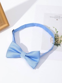 1 pezzo Papillon casual tinta unita da uomo per decorazione quotidiana, San Valentino