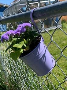 1 pieza Cesta colgante para macetas, soporte decorativo moderno de hierro para macetas de flores para el jardín - Multicolor - Ver 2