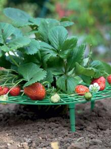 1pc Plastic Plant Support Stake, Modern Solid Plant Stake For Garden - Green - View 3