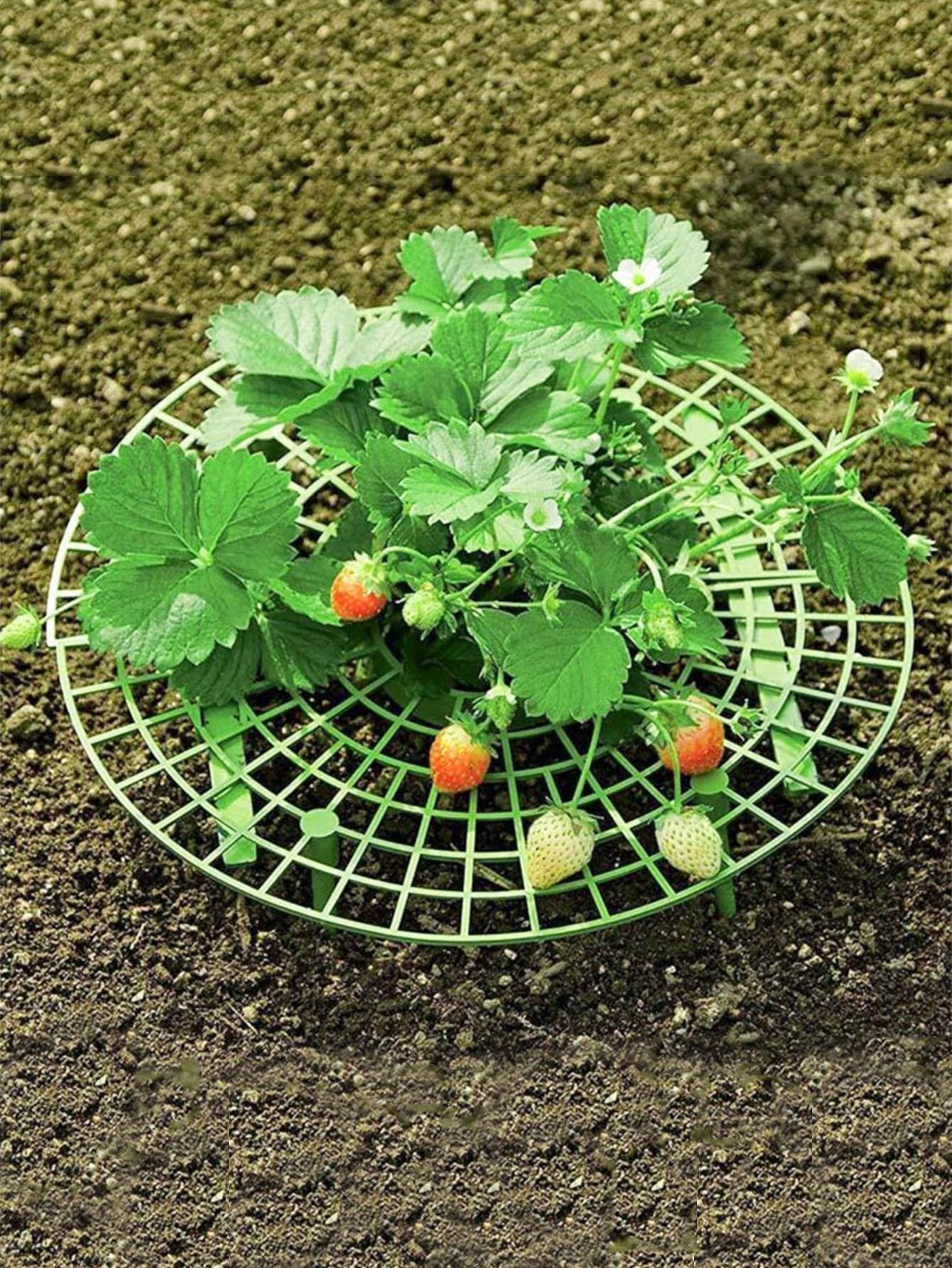 1pc Plastic Plant Support Stake, Modern Solid Plant Stake For Garden - Green - View 1