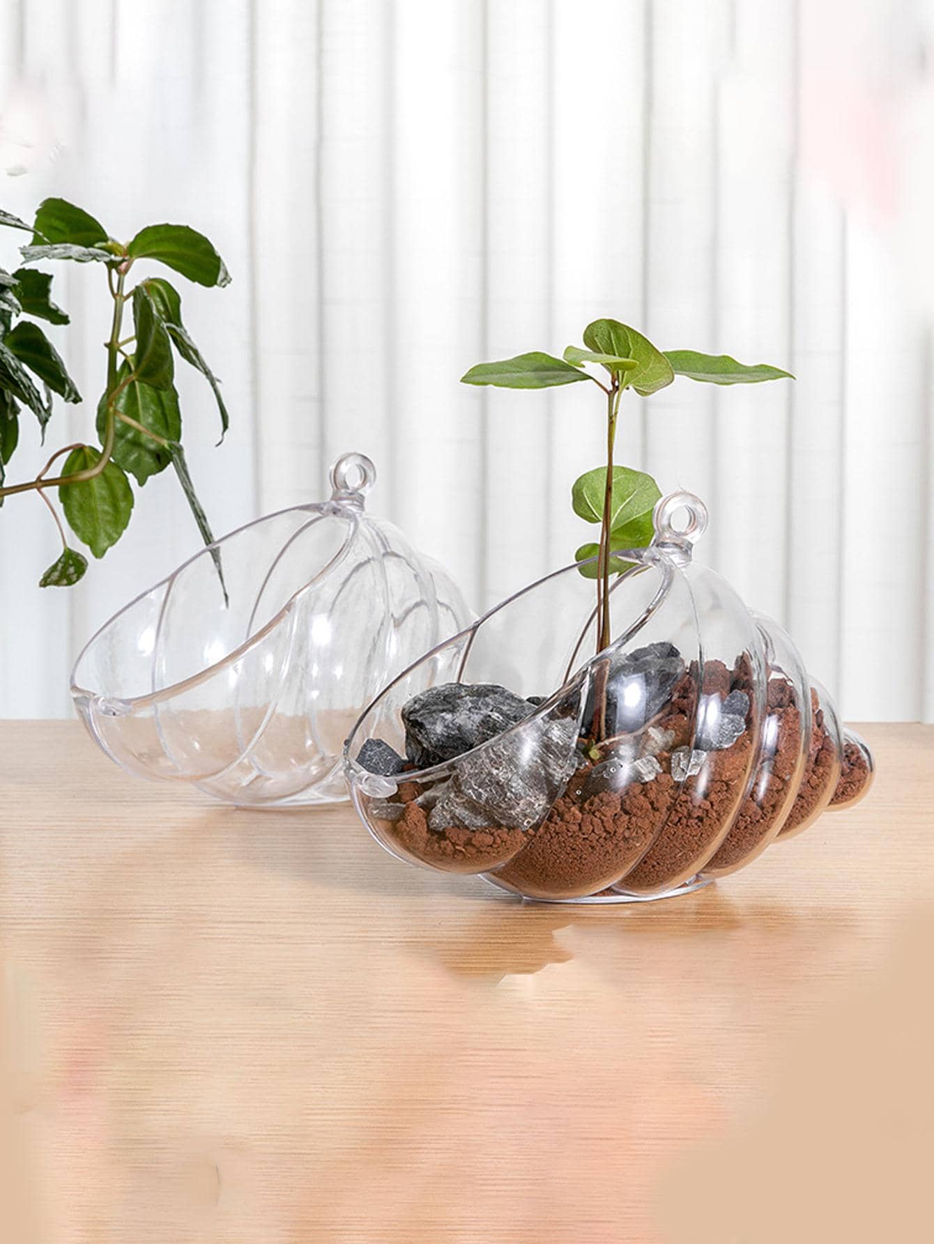 1pc Conch Shaped Clear Hanging Plant Holder - Clear - View 1