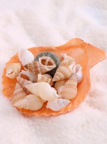 1 bộ thủ công trang trí vỏ ốc, đối tượng trang trí thiết kế ốc xà cừ sáng tạo để trang trí nhà cửa - Nhiều màu - Xem 3