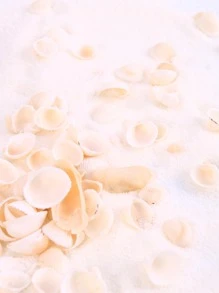 1 Gói Vỏ Thiết Kế Trang Trí Thủ Công, Vật Trang Trí Vỏ Hiện Đại Để Trang Trí Nhà Cửa - Nhiều màu - Xem 3