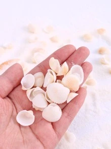 1 Gói Vỏ Thiết Kế Trang Trí Thủ Công, Vật Trang Trí Vỏ Hiện Đại Để Trang Trí Nhà Cửa - Nhiều màu - Xem 1