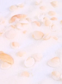 1 Gói Vỏ Thiết Kế Trang Trí Thủ Công, Vật Trang Trí Vỏ Hiện Đại Để Trang Trí Nhà Cửa - Nhiều màu - Xem 2