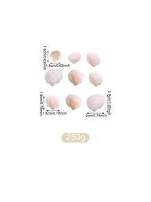 1 Gói Vỏ Thiết Kế Trang Trí Thủ Công, Vật Trang Trí Vỏ Hiện Đại Để Trang Trí Nhà Cửa - Nhiều màu - Xem 4