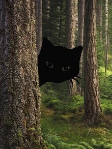 2 piezas Estaca de jardín decorativa con diseño de gato de dibujos animados - Negro - Ver 5