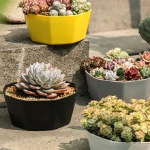 1 pieza Maceta de vivero unicolor - Gris - Ver 2