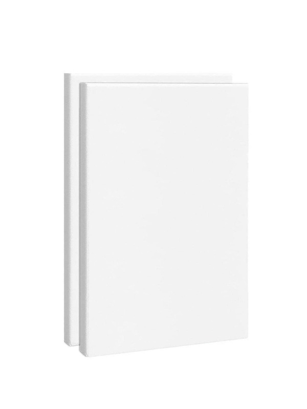 2pcs Painting Canvas, Blank White Stretched Canvas Sold Loose,Back To School,School Supplies