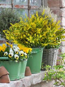 2pcs Artificial Flower, Simple Plastic Fake Flower For Indoor And Outdoor Decoration - Yellow - View 4