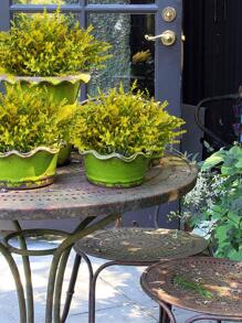 2pcs Artificial Flower, Simple Plastic Fake Flower For Indoor And Outdoor Decoration - Yellow - View 5