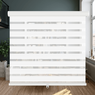 LUCKUP Cordless Zebra Blinds Roller Shades For Window-Dual Layer Sheer Blinds Light Control With Valance Day Night Privacy Light Filtering Fabric, Easy To Install, White, Dark Grey, Black