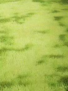 1pc Tie Dye Fuzzy Rug, Green Polyester Plush Carpet, For Living Room, Bedroom - Green - View 4