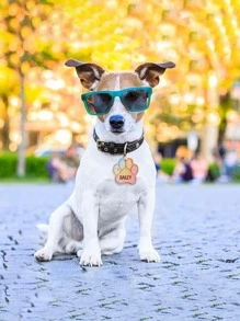 1pc Silicone Mold, Creative Paw & Heart Shaped DIY Silicone Mold For Crafts - White - View 5